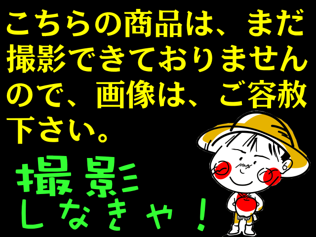 常温のみ送料無料癖のない甘さが魅力ッ！【9月発送開始】サンつがる 贈答用 5キロ