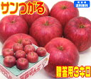 【9月りんご第1弾】【常温便送料無料】青森りんご サンつがる 贈答用 3キロもぎたて りんご 林檎 Apple早生品種の中でも癖の無い甘さが魅力的青森県からもぎたてを産地直送!傷の無いりんごは贈り物にピッタリ♪X Pro 楽天 16 厳選 特選 旬