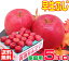 【常温便送料無料】10月りんご早く成熟する品種 早生ふじ 家庭用 5キロさっぱりとした味わい!ふじに似た風味♪青森県からもぎたてを産地直送!りんご 林檎 毎日のフルーツやコールドプレスジュース用にも♪X【RCP】楽天 スムージー apple