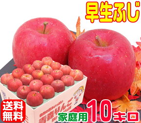 【常温便送料無料】10月りんご早く成熟する品種 早生ふじ 家庭用10キロさっぱりと、ふじに似た風味♪訳あり青森県からもぎたてを産地直送！15りんご 林檎 毎日のフルーツやコールドプレスやスムージーにも♪X 楽天 スムージー apple 健康