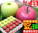 ★高糖度サンふじ王林 詰合せ家庭用 5キロ常温便送料無料【11月末から12月中旬に順次発送】Apple1箱で2つの味わい毎日のフルーツに青森りんご 16りんごの本場青森県から産地直送 内部品質保証おいしい 訳あり 健康 コールドプレス スムージーにも 甘い