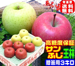 ★高糖度サンふじ王林 詰合せ贈答用 3キロ常温便送料無料【ご注文順に順次発送中！】Apple厳選された特選品だけを使用 お歳暮 りんご 専門店熟練スタッフが一粒一粒厳選！ 15 おいしい セット内部保証＆高糖度 林檎の本場青森県から産地直送 甘い 冬果物