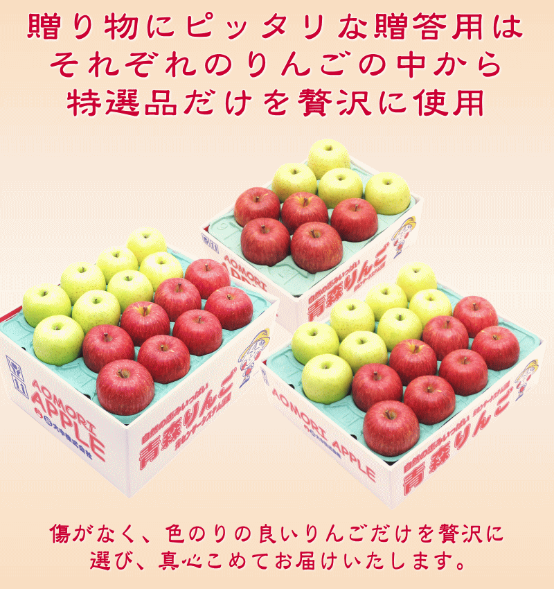 ★予約受付中！高糖度サンふじ王林 詰合せ贈答用 5キロ常温便送料無料【11月下旬より順次発送】Apple厳選された特選品だけを使用 お歳暮 りんご 専門店熟練スタッフが一粒一粒厳選！ 17 おいしい セット内部保証＆高糖度 林檎の本場青森県から産地直送 甘い oonaka-10000031 青森りんご アップルショップ大中 サンプル画像3