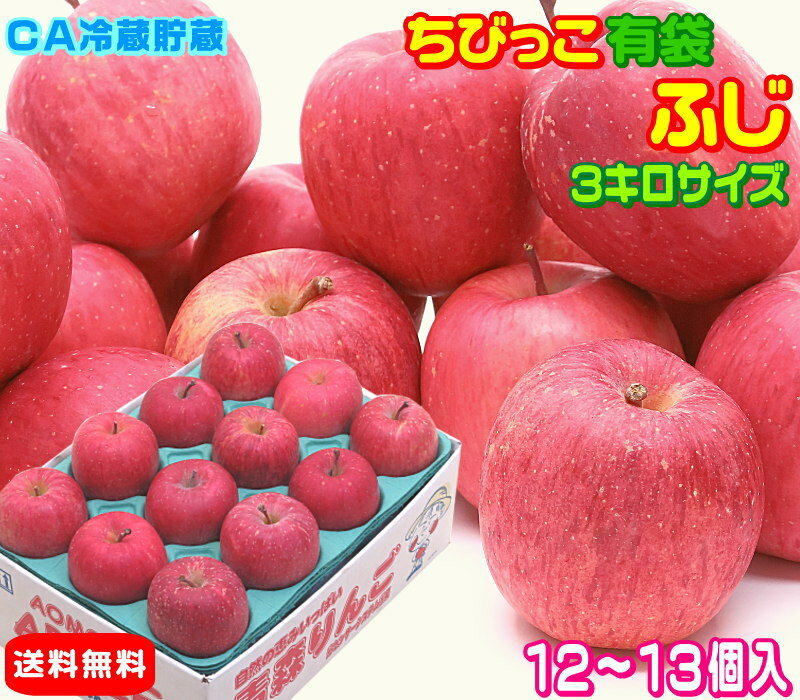 グルメ大賞7度受賞のサンふじと同じ品種【常温便送料無料】高糖度 ちびっこ有袋ふじ家庭用　3キロ 12個..