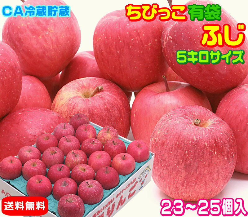 グルメ大賞7度受賞のサンふじと同じ品種【常温便送料無料】高糖度 ちびっこ有袋ふじ家庭用 5キロ 23個～25個入 小玉サイズ 青森県産 CA貯蔵産地直送 フルーツ コールドプレスやスムージーにも♪Pro Apple 青森りんご 訳あり 健康 さっぱりとおいしい 15