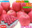 ֥7ټޤΥդƱʼھﲹ̵۹ Ӥäͭޤդ10 46ġ50 ̥ Ŀ CA¢ľ ե롼 ɥץ쥹䥹ࡼˤPro Apple Ŀ   äѤȤ 14פ򸫤