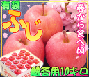 全国一律【常温送料無料】青森りんご光センサー選果機で高糖度保障♪低酸素＆低温保存で歯ごたえシャキシャキ♪贈り物にピッタリ【常温送料無料】糖度13度保証「りんごの横綱 有袋ふじ贈答用10キロ」りんごの本場青森県から、今から食べ頃を迎える有袋ふじを産地直送♪【CA冷蔵品】贈り物にもピッタリ♪【楽ギフ_のし】【青森県産、常温送料無料】【RCP】【楽天】