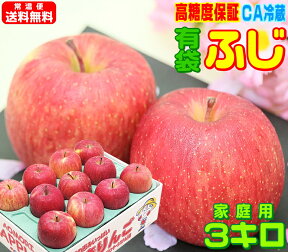 グルメ大賞7度受賞のサンふじと同じ品種！【常温便送料無料】高糖度有袋ふじ 家庭用 3キロ高糖度選別・鮮度抜群・CA貯蔵りんご Apple 産地直送青森県産 フルーツ コールドプレスやスムージーにも♪Pro 青森りんご 訳あり 健康 さっぱりとおいしい 14