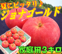 全国一律【常温送料無料】青森りんご爽やか酸味が魅力的ッ！食べて涼やか、ジョナゴールドファン必見【常温便送料無料】食べて爽快！「ジョナゴールド家庭用 3キロ」りんごの本場青森県から、サッパリとしたジョナゴールドを産地直送【CA冷蔵品】毎日のフルーツにピッタリ♪ 【青森県産、常温便送料無料】【RCP】【楽天】