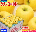 名前はシナノだけど育ったのは青森県!【常温便送料無料】シナノゴールド家庭用10キロCA貯蔵で甘味を追熟!鮮度抜群!濃い味で果汁が多め!産地直送フルーツ コールド...