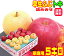 【常温便送料無料】10月りんご早生ふじトキ 詰め合わせ 家庭用 5キロ1箱で2つの味が楽しめるお得なセット♪青森県からもぎたてを産地直送!りんご 林檎 毎日のフルーツやコールドプレスジュース用にも♪X【RCP】楽天 スムージー apple
