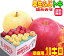 【常温便送料無料】10月りんご早生ふじトキ 詰め合わせ 家庭用10キロ1箱で2つの味が楽しめるお得なセット♪青森県からもぎたてを産地直送!りんご 林檎 毎日のフルーツやコールドプレスジュース用にも♪X【RCP】楽天 スムージー apple