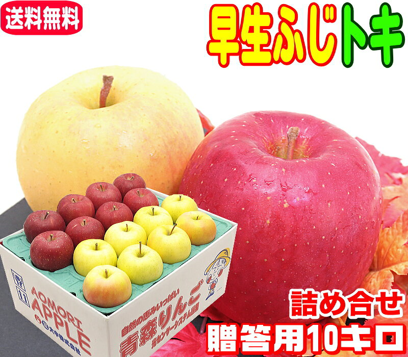 お届け時間指定もできます。お届け時間指定の場合は、ご購入ステップの途 中で指定できますので安心してご利用してね(^o^)／ こちらの「早生ふじ トキ詰め合せ 贈答用10キロ」は、ダンボール2段詰 めで、早生ふじが約14～20個、トキが約14～20個の入り数となって おります。 りんごの大きさは通常サイズに加え、大玉サイズも含めた等級での販売とな り、お届けの際の入り数は指定の無い限りランダムでお届けとなりますので ご了承ください。 中身の梱包材は紙製のモールドに入れてお届けとなります。 贈答用とは、光センサー選果機で内部品質合格と高糖度を保証されたりんご を、更に熟練スタッフが表面にキズなどが無い贈答用規格の選果基準に合格 したりんごだけを選んだ、粒選びのりんごとなります。 箱詰めの際は、一個一個を真心込めてお詰めしており安心して大切な方へお 届けできますよ。(^^♪ 早生ふじは、全国的に有名な品種「ふじ」の早く成熟する枝代わり品種を総 称して「早生ふじ」といいます。味については甘さ控えめでサッパリとした 味わいですが、「ふじ」独特のバランスのよい味わいがオススメなりんごで この時期しか味わうことが出来ない希少な品種になります トキは数年前にでた新しい品種で、とにかく果汁が豊富でジューシィッ！硬 さもあってシャキシャキしており、甘さも強く、ほのかな酸味があって美味 しいですよ。 お届けの際の入り数は原則ランダムでのお届けとなり、2022年より家庭 用と贈答用の入り数を共通化致しました。そのため、家庭用は大玉サイズを 贈答用はめんこいサイズを含めた入り数での販売となります。 ご注文時に頂いた配送先住所に誤りがあり、出荷後にお届け先住所の変更を する場合、転送時に掛かる料金を配送会社がお届け先様から着払いで頂く事 となりました。注文時の住所はお間違えの無いようお願いいたします。 りんごの品質保持期限は商品到着後、約2週間です。 ※早生品種になりますのでお早めにお召し上がりください。 りんごの上手な保存方法はこちらをクリックしてね！ 世界全体でりんごの品種は種類が沢山！青森県は主に50種類ほどが育てられていていますが、生産量が少なくて当店で販売できない品種もあります。そこで！青森県で育てられている品種の一部ですが色々な品種の名前をご紹介いたします！ つがる 黄王 トキ 早生ふじ シナノスイート 紅玉 サンふじ 王林 有袋ふじ 北斗 むつ 金星 ライフ 千雪 ぐんま名月 シナノゴールド アルプス乙女 インド 大紅栄 星の金貨 北紅 あいか 黄金 はるか きみと 葉取らず ジョナゴールド 弘前ふじ 世界一 各種御祝事や行事、自分用にもご利用頂けます！(りんご検索用関連キーワード含む) 熨斗 お歳暮 御祝 誕生日 祝い 内祝 お供え ご霊前 お祝 クリスマス 御歳暮 お中元 御霊前 御中元 誕生日 御礼 お礼 母の日 父の日 還暦 プレゼント バレンタイン ホワイトデー お菓子 スイーツ apple fruit 果糖 国産 人気 甘い 青森 弘前 津軽 板柳 産地直送 果物 フルーツ くだもの りんご 林檎 訳あり ワケアリ 家庭用 贈答 贈り物 ギフト お試し 沢山 自分 自宅 お返し 3キロ 5キロ 10キロ 3kg 5kg 10kg 小玉 中玉 大玉 小さめ 大きめ 優 秀 良 kg