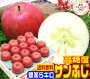 ★超早割中!グルメ大賞7度受賞 高糖度サンふじ贈答用 5キロ常温便送料無料【11月下旬より順次発送】産地直送厳選された特選品だけを使用 Pro フルーツ熟練スタッフが一粒一粒厳選 おいしい 16 林檎りんご お歳暮 Apple 甘い 贈り物に最適 青森県 旬の恵み