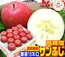 ★超早割中!グルメ大賞7度受賞 高糖度サンふじ贈答用10キロ常温便送料無料【11月下旬より順次発送】産地直送厳選された特選品だけを使用 Pro フルーツ熟練スタッフが一粒一粒厳選 おいしい 16 林檎りんご お歳暮 Apple 甘い 贈り物に最適 青森県 旬の恵み