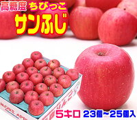 ★グルメ大賞7度受賞品種　高糖度ちびっこサンふじ家庭用　5キロ　常温便送料無料 ...