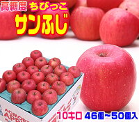 ★グルメ大賞7度受賞品種　高糖度ちびっこサンふじ家庭用10キロ　常温便送料無料 食...