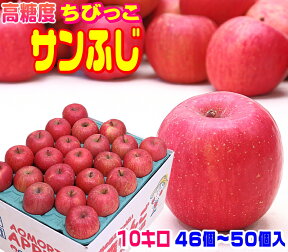 ★グルメ大賞7度受賞品種　高糖度ちびっこサンふじ家庭用10キロ　常温便送料無料 食べきりサイズ！【1箱に46個～50個入】当店一番人気品種 高糖度選別 青森県産　コールドプレス スムージーにも Apple 産地直送 フルーツ 14 青森りんご 訳あり 健康 おいしい 甘い