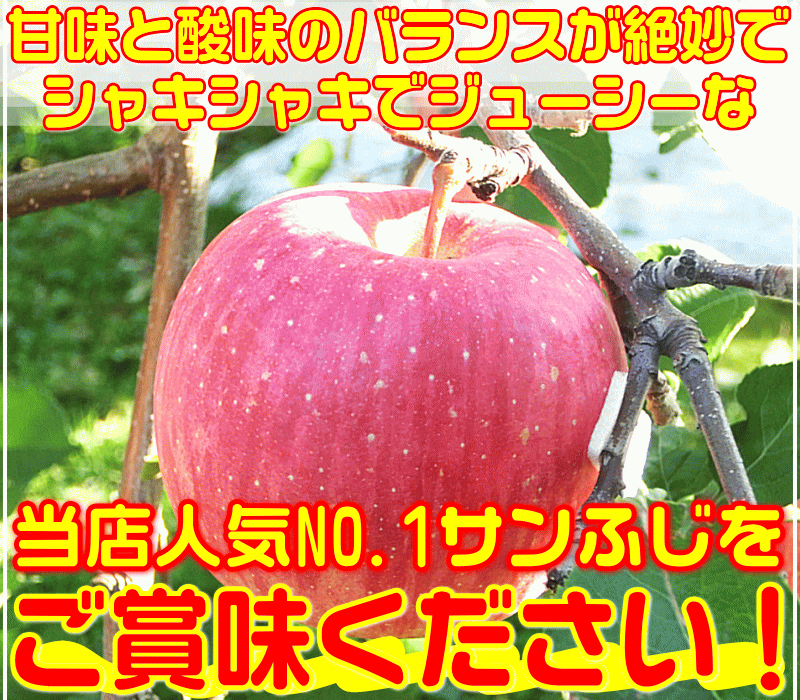 高糖度 サンふじ 家庭用 3キロ青森県産 産地直送 訳あり りんご当店一番人気品種 ふじりんご 青森りんご 【ご注文順に順次発送中!】毎日のフルーツや健康のため♪コールドプレスジュース用にも♪常温便送料無料 林檎【RCP】