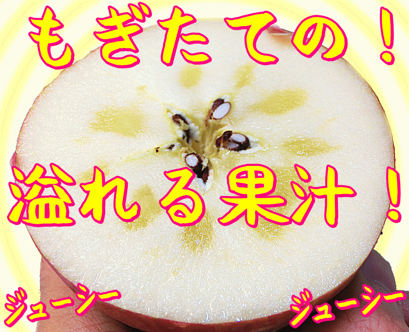 ★予約受付中！グルメ大賞7度受賞 高糖度サンふじ家庭用 3キロ常温便送料無料【11月下旬より順次発送】産地直送当店一番人気品種 おいしい 旬の恵み りんご Proもぎたて Apple 甘い 青森県産 ふじ フルーツ 17訳あり 健康 コールドプレス スムージーにも oonaka-10000018 青森りんご アップルショップ大中 サンプル画像3