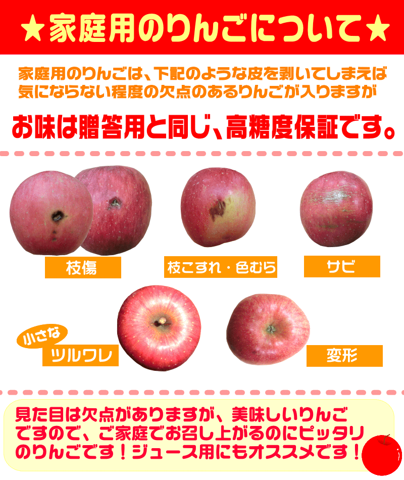 高糖度 サンふじ 家庭用10キロ青森県産 産地直送 訳あり りんご当店一番人気品種 青森りんご ふじりんご 【ご注文順に順次発送中！】林檎 毎日のフルーツや健康のため♪ コールドプレスジュース用にも♪ 常温便送料無料【RCP】