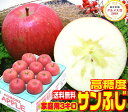 ★グルメ大賞4度受賞 高糖度サンふじ家庭用 3キロ常温便送料...
