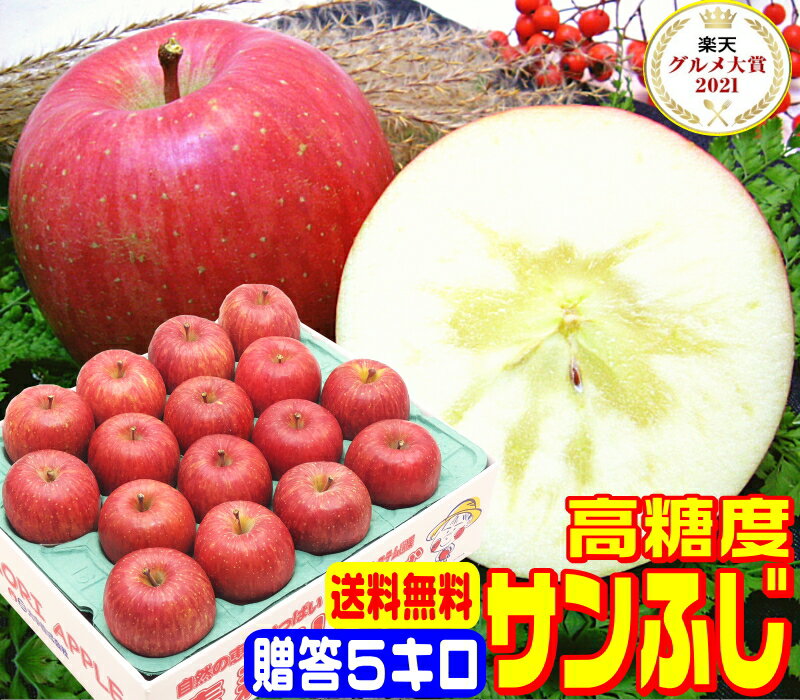 ★グルメ大賞7度受賞 高糖度サンふじ贈答用 5キロ常温便送料無料【11月末から12月中旬に順次発送】産地直送厳選された特選品だけを使用 Pro フルーツ熟練スタッフが一粒一粒厳選 おいしい 15 林檎りんご お歳暮 Apple 甘い 贈り物に最適 青森県 旬の恵み