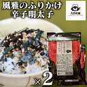 送料込 2個 セット 【 風雅 辛子明太子 ふりかけ (40g)】 明太子 明太 ふりかけ 送料無料 業務用 ギフト セット ご飯のお供 ごはんのおとも 熊本県...