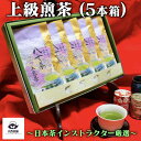 お中元 御中元 2025 新茶 大西茶舗オリジナル 贈答用 箱入り 【 上級煎茶 ( 100g ) × 5本 セット 】 メール便 特上 上 上級 国産 日本茶 緑茶 八女茶 お茶 深蒸し茶 冷水茶 深むし 真空パック 送料無料 送料込 お客様用 茶葉 ギフト お茶葉 煎茶 プレゼント 箱