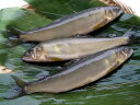 和歌山の鮎(生・冷蔵)3本(1本約80g) 化粧塩をして塩焼きをお楽しみ下さい・腸の苦みと香魚と言われるだけにスイカのような香りが漂い、清涼感たっぷりで蒸し暑い...