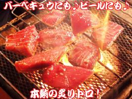 「炙りトロ」好評まぐろレア部位の復活新商品。本鮪・インド鮪。焼肉のようにコンロやプレートで目の前..