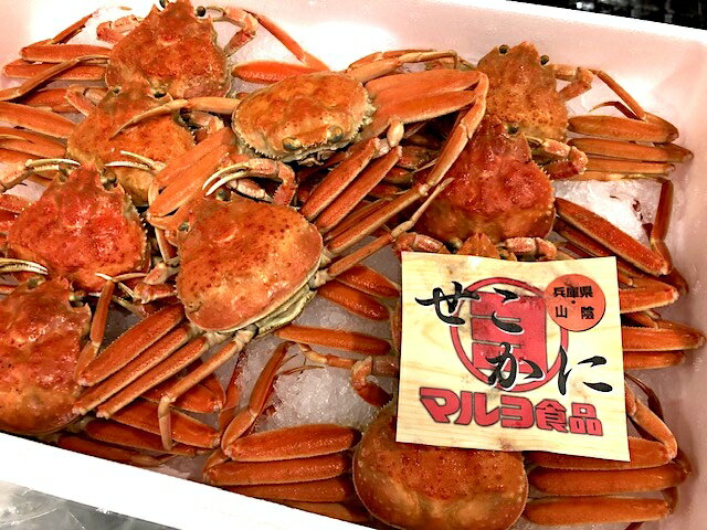 生せいこ蟹 (冷蔵) (1杯約150gUPサイズ) 外子・内子・味噌がたまらない！兵庫「マルヨ」の活きの良い蟹だけ選び浜茹でしました（未冷凍）。豊洲市場から出荷！外子のシャリシャリ感がお酒に合い内子は甘い栗のよう。味噌もとろりと甘い！(セイコガニ・せいこ蟹・せこ蟹)