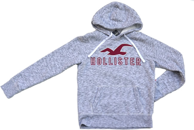 ホリスター ホリスター / Hollisterパーカー ライトグレーサイズ【XS-XL】【即納】【あす楽対応】【正規品】【smtb-TD】【yokohama】