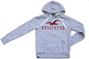 ホリスター / Hollisterパーカー ライトグレーサイズ【XS-XL】【即納】【あす楽対応】【正規品】【smtb-TD】【yokohama】