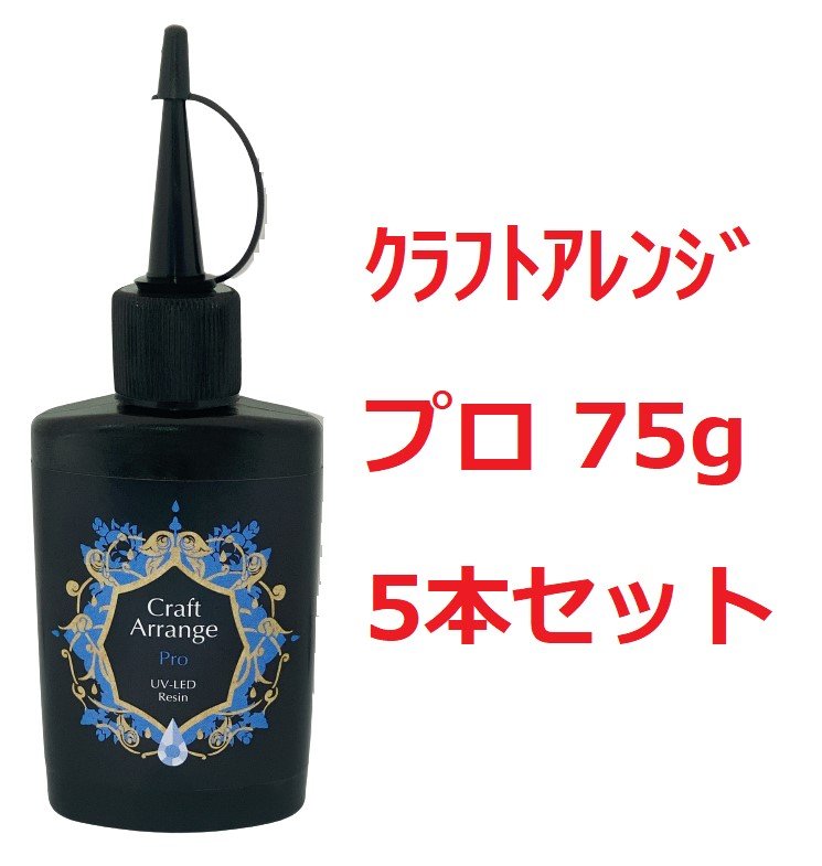 【5本セット】ケミテック レジン液 クラフトアレンジ プロ 75g