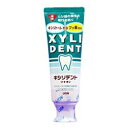 【送料無料・一部地域を除く】【まとめ買い10個】ライオン キシリデント 120g