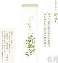 カメヤマ 月の花 梔子の香り 6月