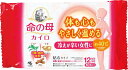 【送料無料・一部地域を除く】【1ケースまとめ買い24袋】小林製薬 命の母 カイロ 貼る 10個入