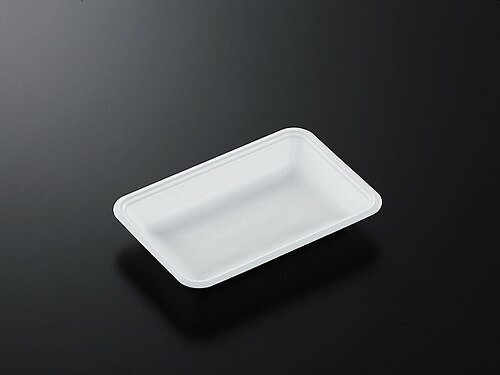 中央化学 トレー CN20-13F 100枚