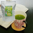 ネットショップ限定 業務用　まるごとカテキン　粉末緑茶　0.5g×100袋（1回飲みきりタイプ）