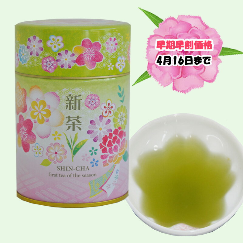 【予約受付中】【早期早割価格4月16日まで　完全ご予約制】【ネットショップ限定】新茶 鹿児島県産新茶缶