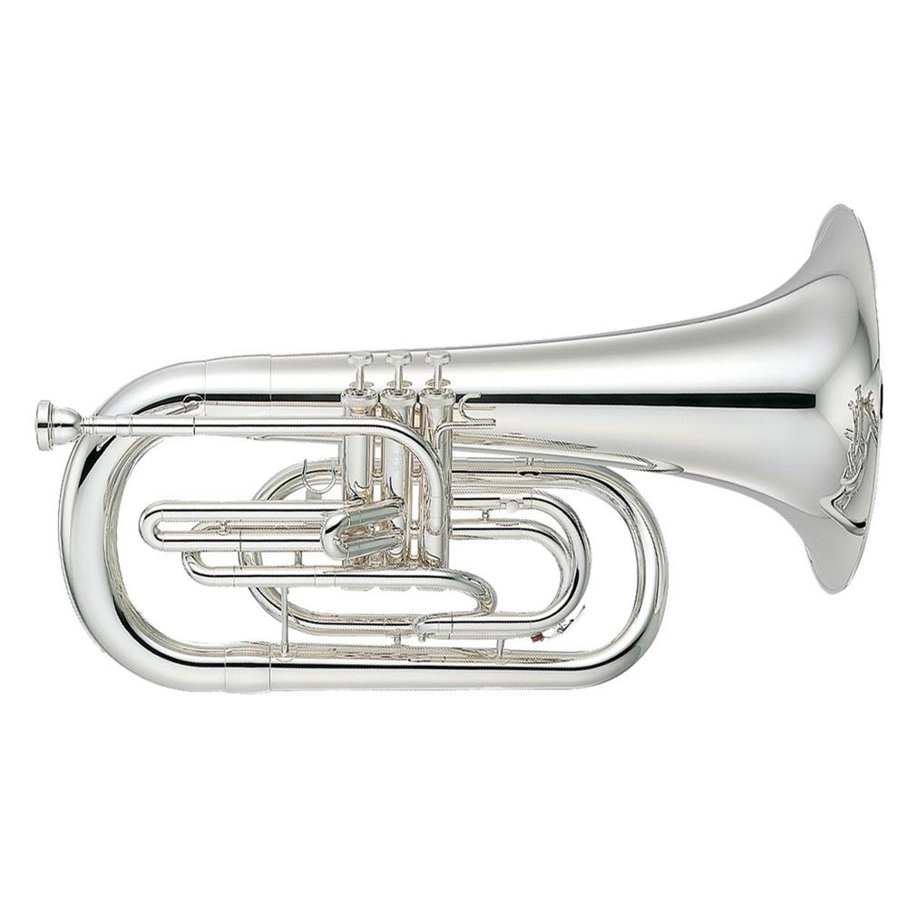 byep202ms00.jpg