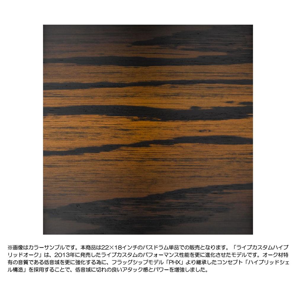 YAMAHA ヤマハ バスドラム LHB2218 UMS oosugakki-10012808 大須楽器 サンプル画像3