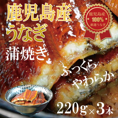 長峯うなぎ店うなぎ蒲焼き220g×3本セット