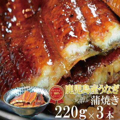 長峯うなぎ店うなぎ蒲焼き220g×3本セット