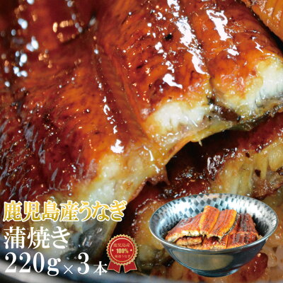 長峯うなぎ店うなぎ蒲焼き220g×3本セット