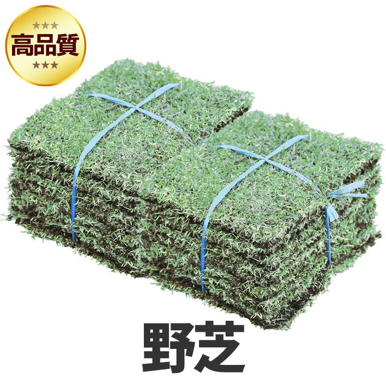 【クール便/送料込】芝生 野芝 2平米 鹿児島産【店頭受取対応商品】