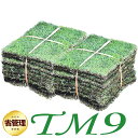 【クール便/送料込】芝生 TM9 2平米 ティーエムナイン 鹿児島産 高麗芝 手入れが楽 簡単で見た目もキレイな芝生 楽天…