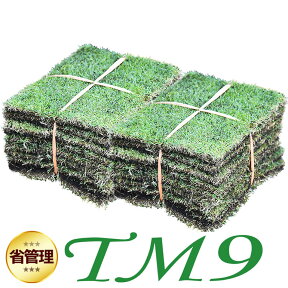 【クール便/送料込】芝生 TM9 2平米 ティーエムナイン 鹿児島産 高麗芝 手入れが楽 簡単で見た目もキレイな芝生 楽天市場芝生ジャンル連続1位獲得 やっぱり人工芝より天然芝 ガーデニング DIY 美景観 省管理 少ない肥料【店頭受取対応商品】