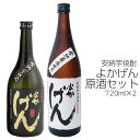 焼酎！セット　送料無料　鹿児島　720ml2本組　よかげんとよかげん原酒飲み比べセット　鹿児島 お取り寄せ 特産品【楽ギフ_包装】